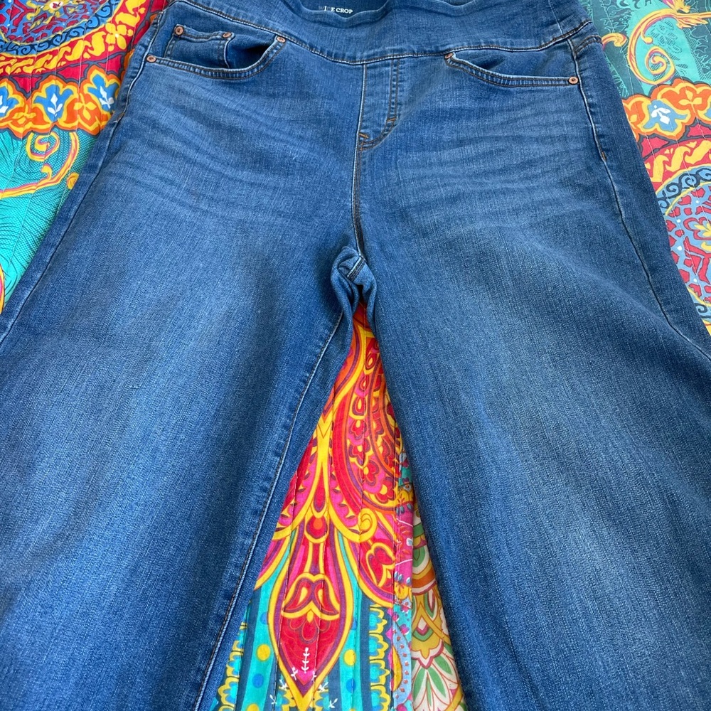 Style & Co Wide Crop Jeans Size Large
